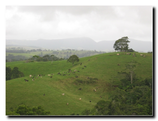 15 Tableland